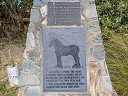 The White Horse Waimate (id=9489)
